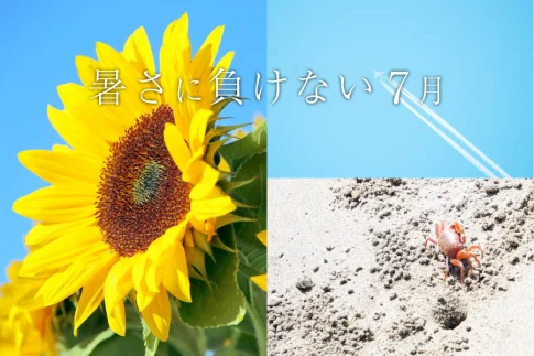 暑さに負けない7月
